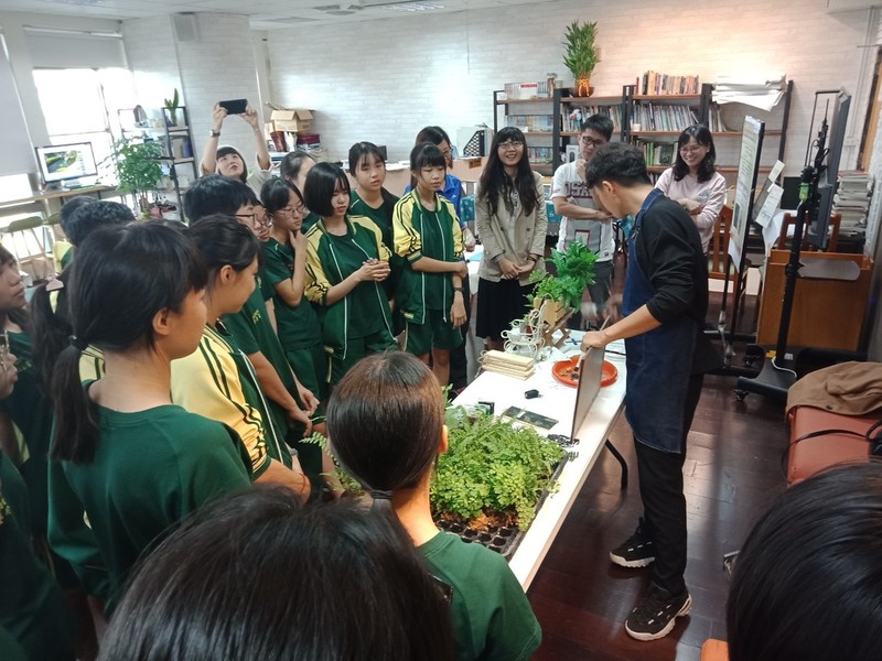 植藝生活蕨類植物 國立高雄餐旅大學附屬餐旅高級中等學校